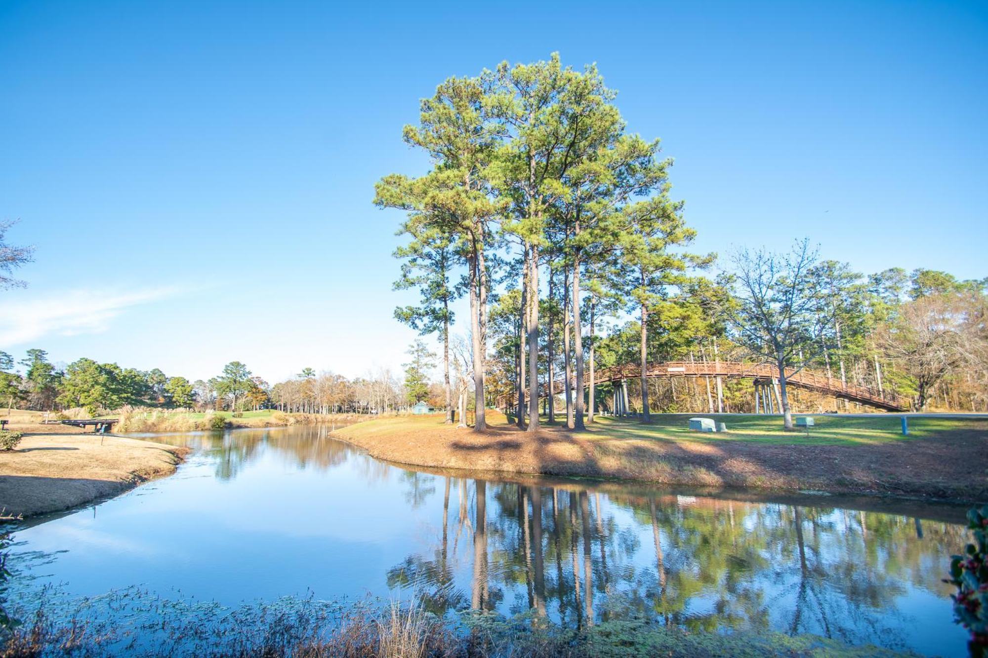 River Oaks 15-G By Palmetto Vacation Rentals Myrtle Beach Dış mekan fotoğraf